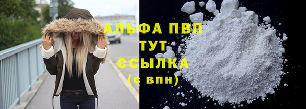 стафф Кодинск