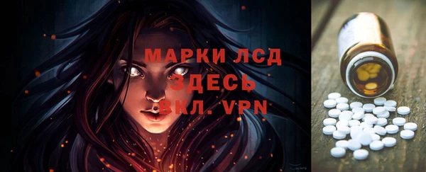 прущие грибы Киренск