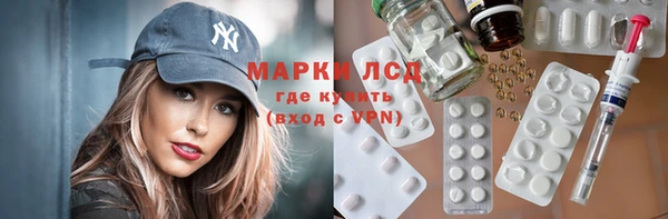 прущие грибы Киренск