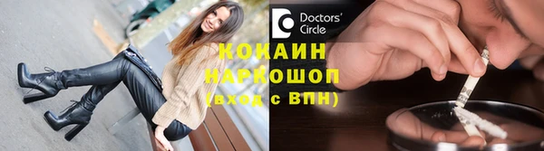 прущие грибы Киренск