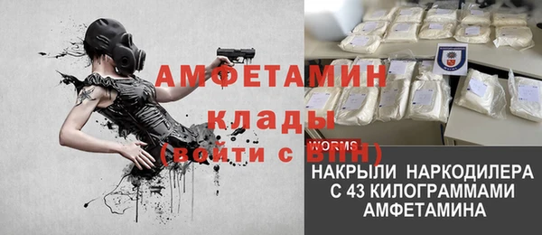 прущие грибы Киренск