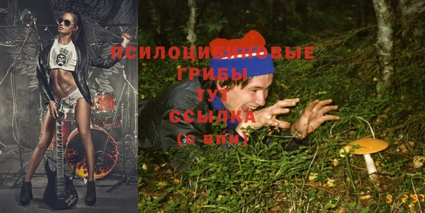 прущие грибы Киренск