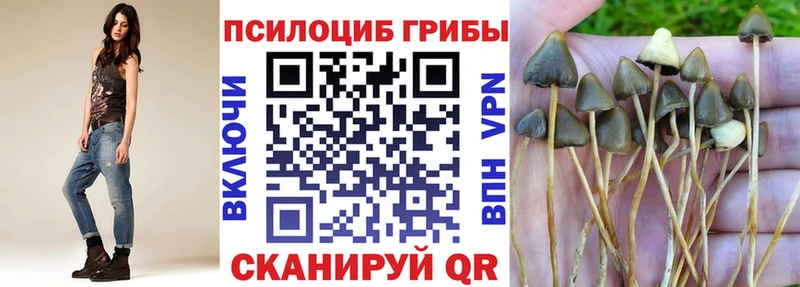 Галлюциногенные грибы мухоморы  Купить  Гусев 